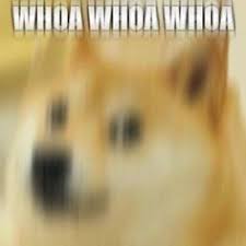  53 Ide Doge Dan Cheems Di 2021 Lucu Anjing Meme Anjing