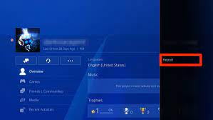 Super angebote für ps4 konsol hier im preisvergleich. How To Report Someone On Your Ps4 In 2 Different Ways