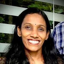 What is the Domain Name System (DNS)?