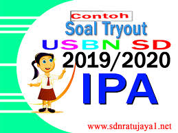 Contoh Soal Tryout Usbn Ipa 2020 Lengkap Dengan Kunci Jawaban Contoh Ke 1 Sdn Ratujaya 1