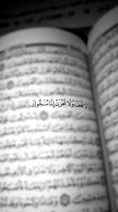 pin by noha mostafa on وما توفيقي الا بالله quran quotes love quran quotes inspirational quran quotes verses
