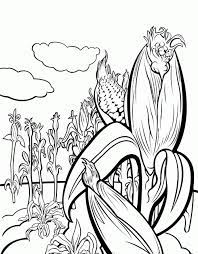 We did not find results for: Corn Stalk Coloring Page Coloring Home