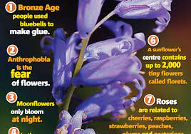 Assists in reproduction via pollination. Flower Facts Science Primary Resource National Geographic Kids
