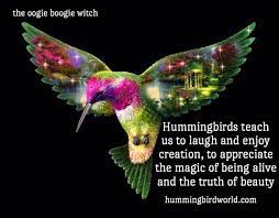 Hummingbird Spirit Animal Humming Bird Feeders Hummingbird Quotes Hummingbirds Photography