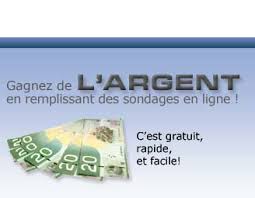 L'interviewé répond à un questionnaire sur un site web. Sondage Remunere Sondage En Ligne Sondage Payant