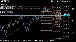 Gold Xauusd Forex Trading