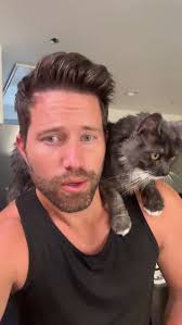 She left me. Maybe it was because I said it hurt my back. 🤣 #cats  #shoulderkitty #catdad