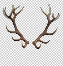 Red Deer Reindeer Antler Horn Png Reindeer Antlers Reindeer Tattoo Reindeer Horns
