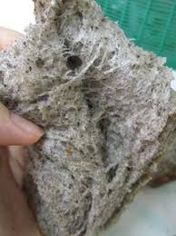 It's possible to download the document as pdf or print. Sd P104 Breadmaker Recipes