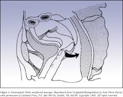 Asmr massage techniques japanese massage hot oil full body pijat jepang asmr therapy japan masaje. Figure 4 From Complementary And Alternative Therapies As Treatment Approaches For Interstitial Cystitis Semantic Scholar