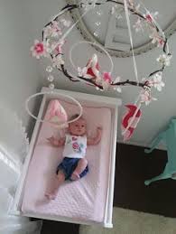 In stock on july 16, 2021. Cherry Blossom Nursery