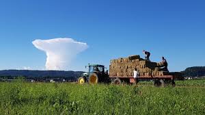 Bildergebnis für Sommergewitterwolke