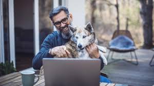 We offer a variety of services such as wellness exams and vaccinations, health checks, surgery, dentistry, house calls and laboratory and diagnostics. Zoom For Pets How Vets Are Using Telehealth During Covid 19