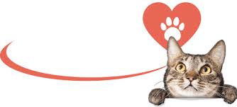0 results for cat drop trap. Cats In Your Community Shadow Cats