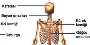 Eksi Duyuru Sirta Saplanan Bicak Hissi