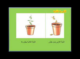 الإمتصاص والت بخ ر لدى النبتة Youtube