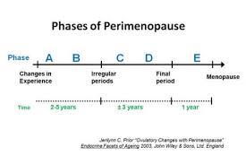 The Centre For Menstrual Cycle And Ovulation Research