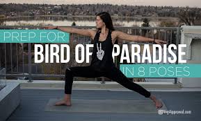 Man Bird Of Paradise Yoga Pose Master Bird Of Paradise Pose With These 8 Prep Yoga Poses Yoga Poses Free Yoga Videos Yoga Poses For Men