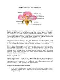 Check spelling or type a new query. Gambar Bunga Lengkap Dengan Keterangan