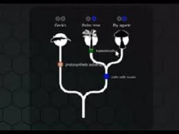 Exploring Nova S Evolution Lab Youtube