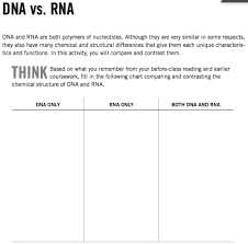 solved dna vs rna dna and rna are both polymers of nucle