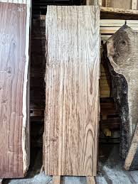 Image result for Julbernardia