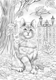 Download the pdf file for the coloring page. Pin On Quick Saves