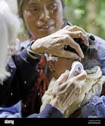 Tina Guillen's Instagram, Twitter & Facebook