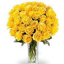 Check spelling or type a new query. Send Congratulations Flowers To Canada From India Ferns N Petals
