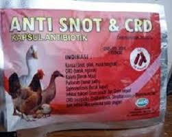 Jahe sendiri memiliki khasiat yang baik pada tubuh manusia, ternyata pada ayam pun demikian. 6 Cara Mengatasi Korisa Snot Pada Ayam Budidaya Ilmubudidaya Com