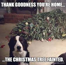 Hilarious Christmas Memes To Share On All Social Media