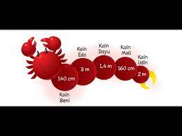 Kekayaan bamgsa kita meliputi sumber daya alam, budaya, sosial, dan politik. Kelas 2 Mupel Matematika Tema 5 Pembahasan Soal Soal Satuan Panjang Halaman 198 Youtube