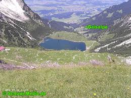 Hirschalpe 1493m, hindelang, bayern, germany. Nebelhorn Gaisalpe Oberstdorf