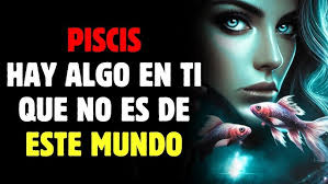 FAVORITOS DEL MOMENTO