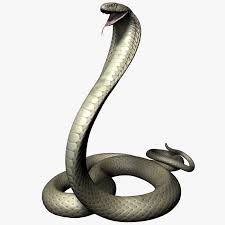 King Cobra 3d Max King Cobra Cobra Real Tattoo