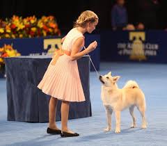 Age Is But A Number While A Dog Show Is Very Clearly About The Pups It S Important For Dog Handlers To Dress To Impre National Dog Show Dog Show Dog Clothes