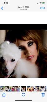 I totaled my car yesterday morning. Physically ok but mentally shaken. My  dad came and got me and when I was waiting for breakfast, Sophie, my  parents' oldest standard poodle (there are