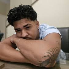 What are the estimated repair costs for an Acura TL damaged in an accident  in Houston?