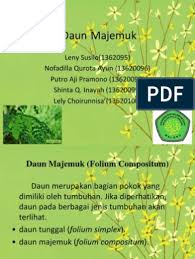 Mar 09, 2021 · kita dapat menjumpai simbol gambar diatas pada… 2. Daun Majemuk