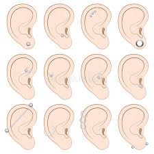 Ear Piercings Different Types Stock Vector Illustration Of