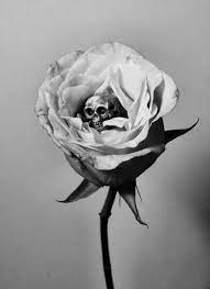 Death Rose Roses Flowers Blackandwhite Skulls Death Skull Art Art Skull
