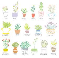 Check spelling or type a new query. Growing Herbs In Arkansas Herb Gardening In Arkansas