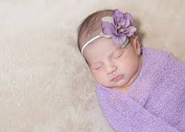 Dana Lin Photography