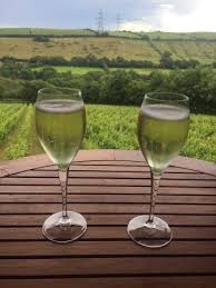 Charming style with good varietal character. Pinot Noir Rose Brut Picture Of Camel Valley Vineyard Bodmin Tripadvisor
