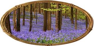 Check spelling or type a new query. Discover The Best Long Blooming Perennials