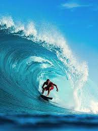 It is always best to be safe on shopping online. Road Cycling Surf Mar Fondos Surf Frases Surf Surf Wallpaper Arte Sobre Surfe Surf Vibes Dibujo Surf Acuarela Surf Big Wave Surfing Surfing Waves Waves