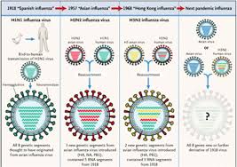 Viruses mutate all the time and it's vital to keep a laser focus on whether the virus' behaviour is some of those mutations have already been shown in the lab to increase the ability of the virus to. The Origin Of New Flu Strains