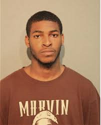 ᐅ Illinois Criminal Records 2009-2025