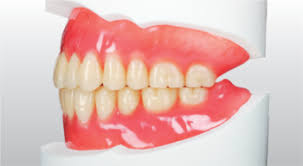 Yamahachi Dental Mfg Co Artificial Teeth Acrylic
