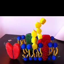Pin On Biology Homeschool